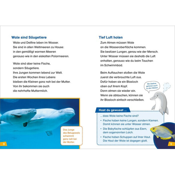 Tessloff-Verlag WAS IST WAS Erstes Lesen: Wale und Delfine