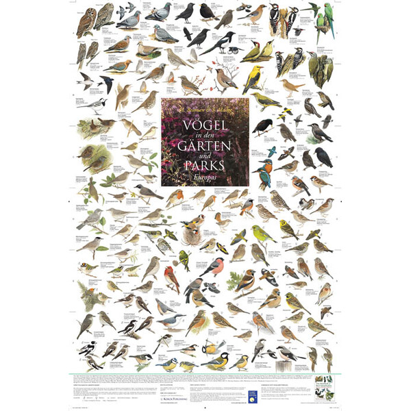Planet Poster Editions Poster Vögel in den Gärten und Parks Europas