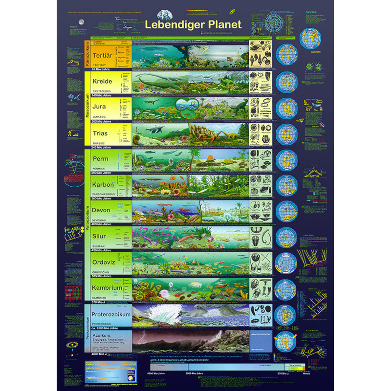 Planet Poster Editions Poster Lebendiger Planet