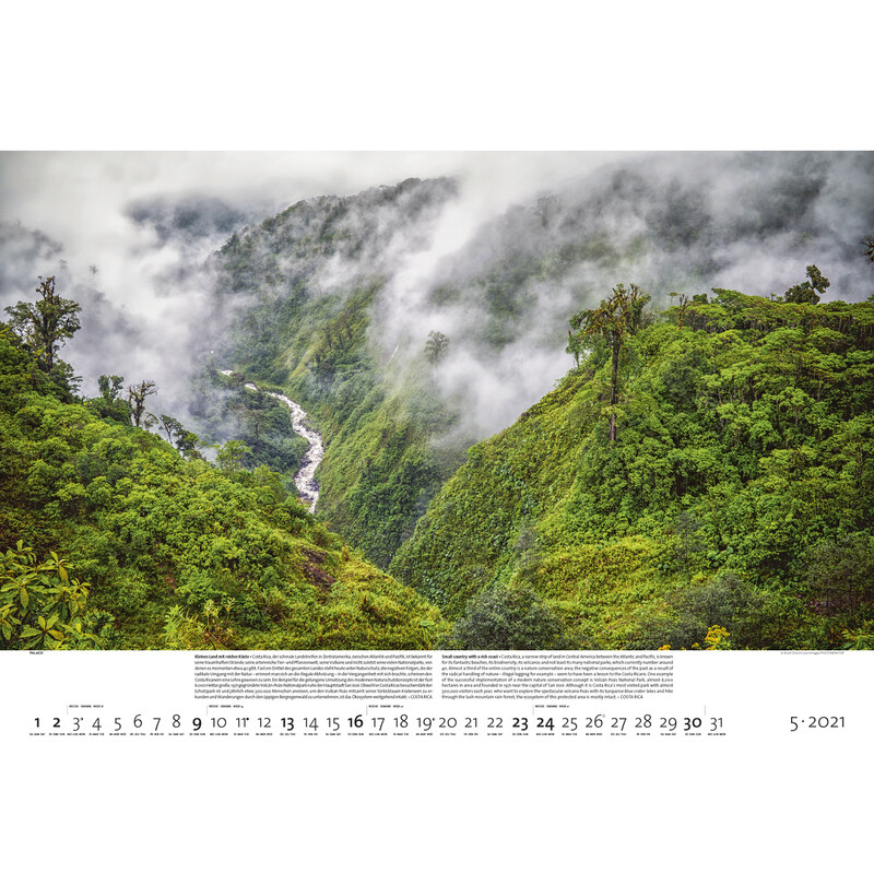 Palazzi Verlag Kalender Wälder der Erde 2021