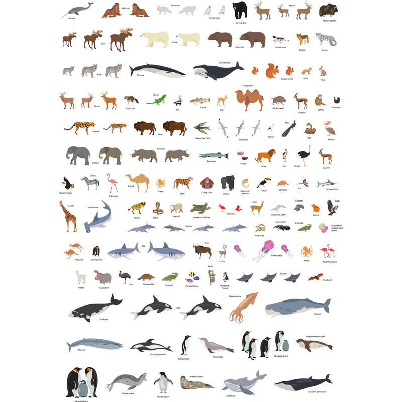 GeoMetro Kinderkarte Die Welt der Tiere (84 x 60 cm)